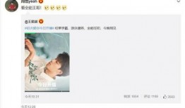 田曦薇恋情爆料最新消息,神秘男友身份引热议